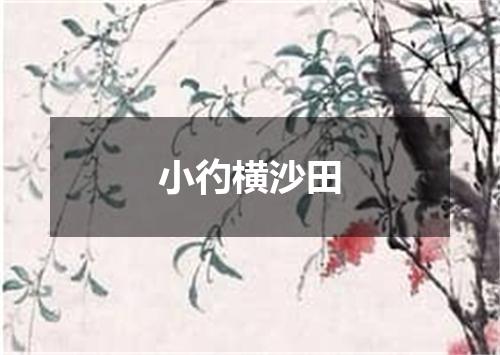 小彴横沙田