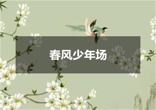 春风少年场