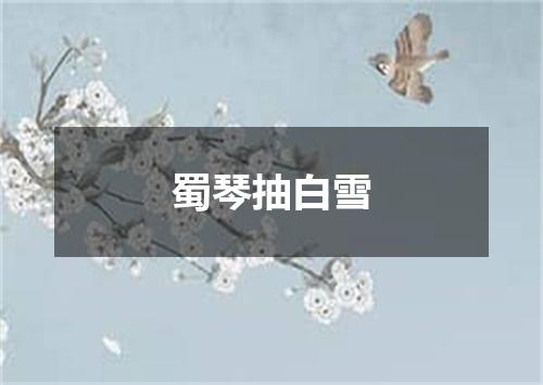 蜀琴抽白雪