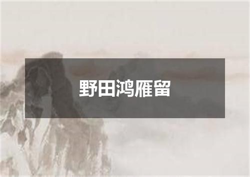 野田鸿雁留