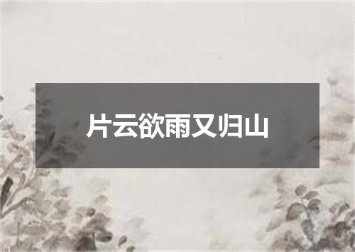 片云欲雨又归山