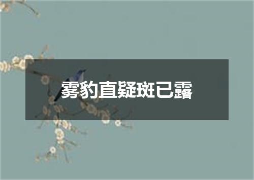 雾豹直疑斑已露