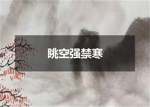 眺空强禁寒