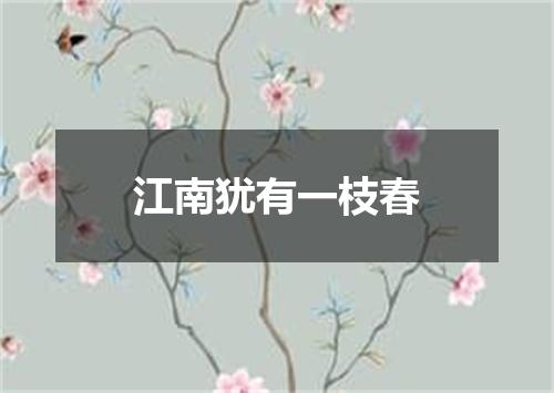 江南犹有一枝春