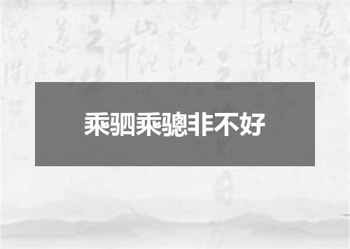 乘驷乘骢非不好