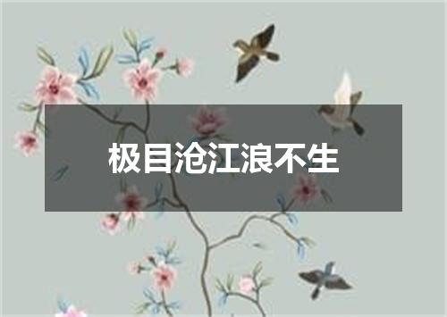 极目沧江浪不生