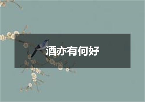 酒亦有何好
