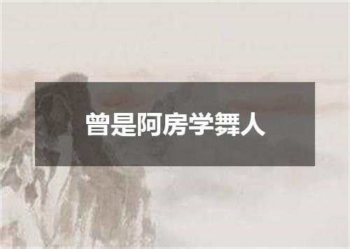 曾是阿房学舞人