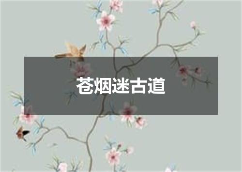 苍烟迷古道