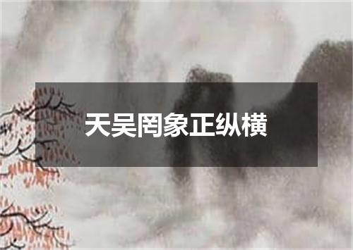 天吴罔象正纵横