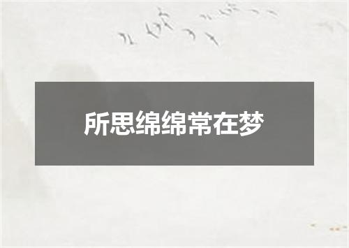 所思绵绵常在梦