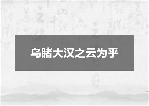 乌睹大汉之云为乎