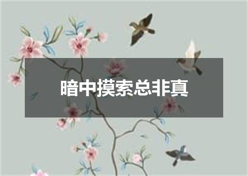 暗中摸索总非真