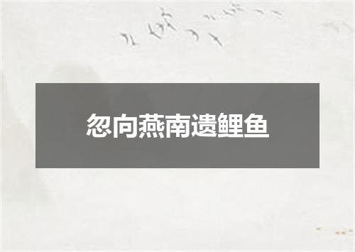 忽向燕南遗鲤鱼