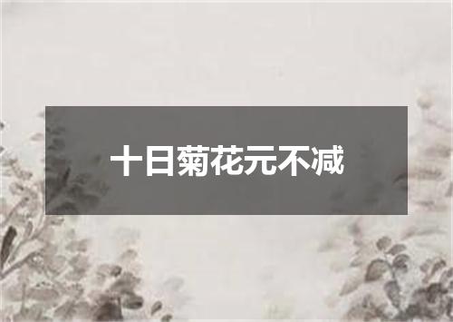 十日菊花元不减