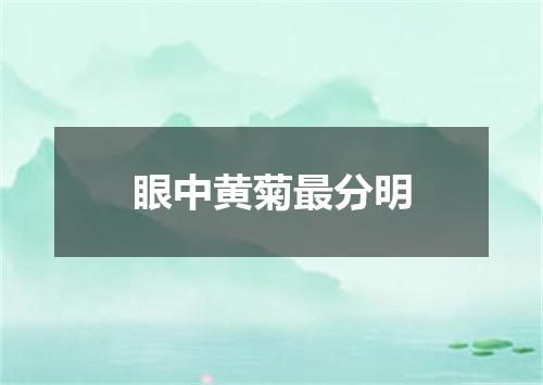 眼中黄菊最分明