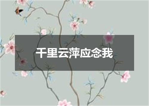 千里云萍应念我