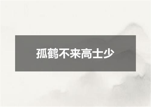 孤鹤不来高士少