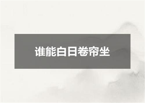 谁能白日卷帘坐