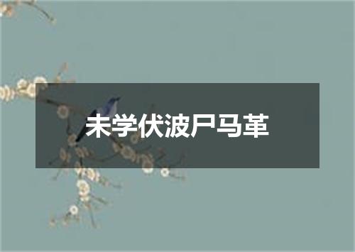 未学伏波尸马革