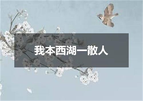 我本西湖一散人