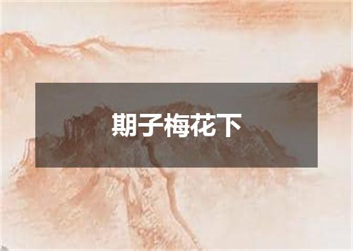 期子梅花下