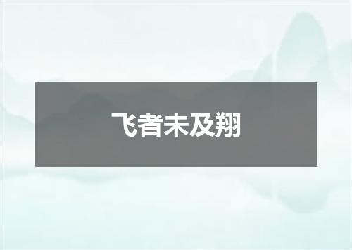 飞者未及翔