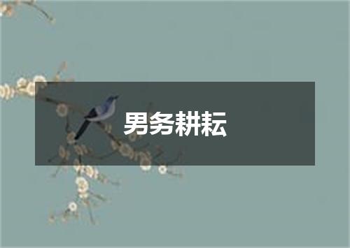 男务耕耘