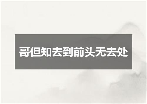 哥但知去到前头无去处