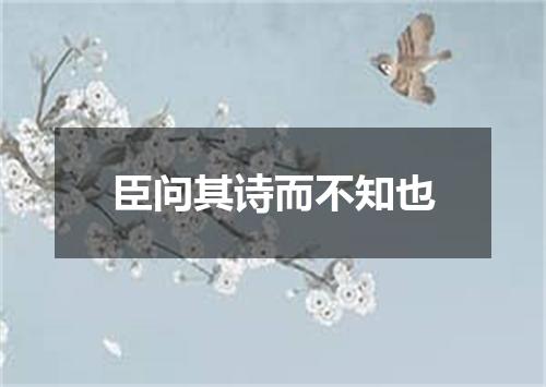 臣问其诗而不知也