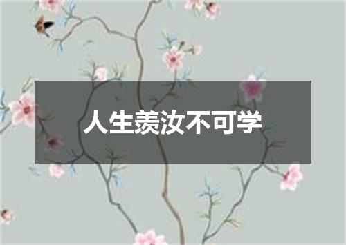 人生羡汝不可学