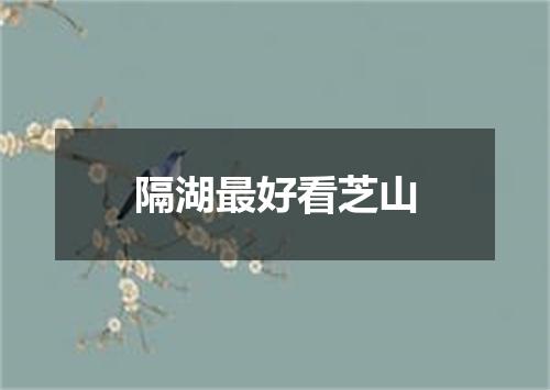 隔湖最好看芝山