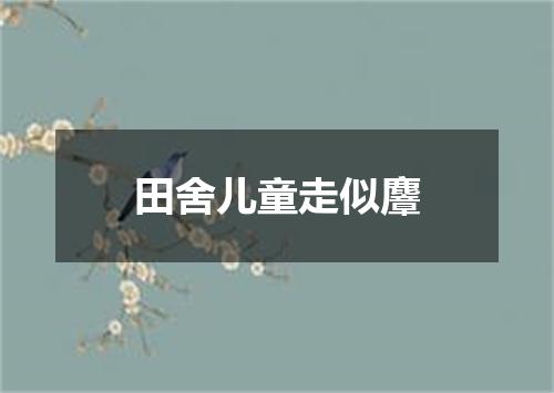 田舍儿童走似麞