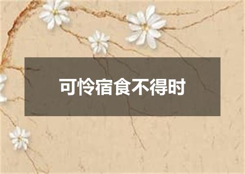 可怜宿食不得时