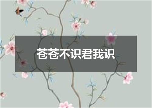 苍苍不识君我识