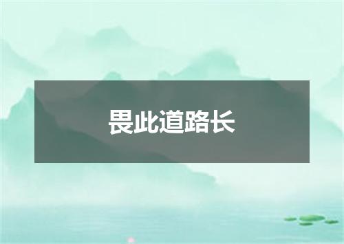 畏此道路长