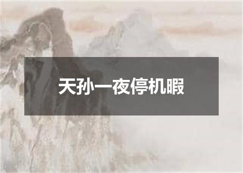 天孙一夜停机暇