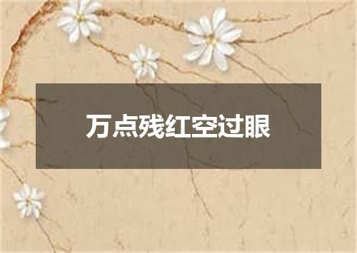 万点残红空过眼
