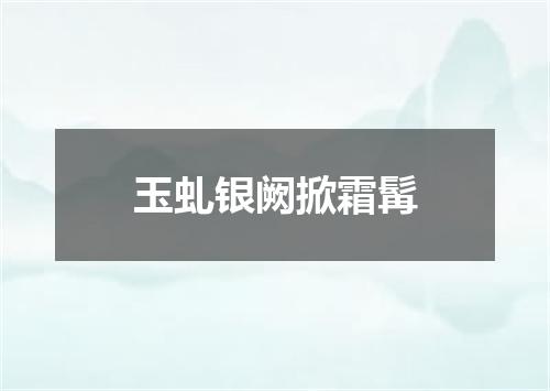 玉虬银阙掀霜髯