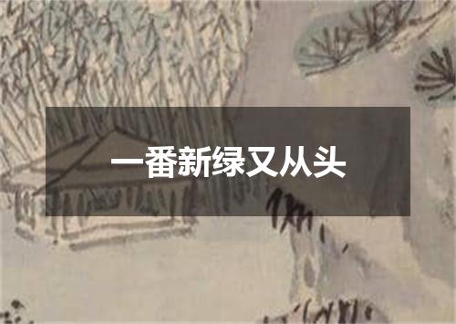 一番新绿又从头