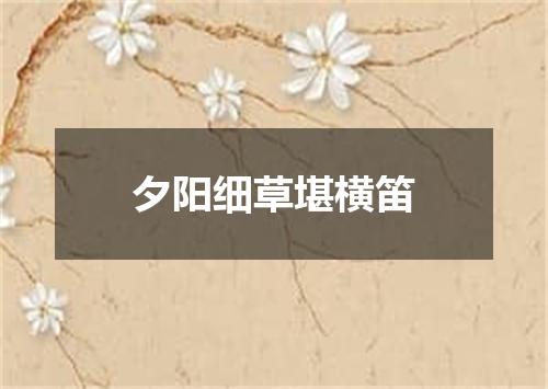 夕阳细草堪横笛