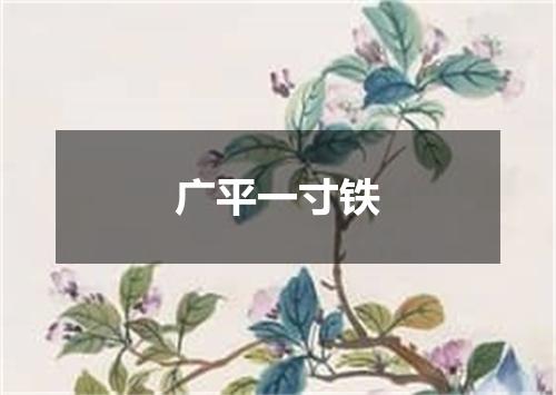 广平一寸铁