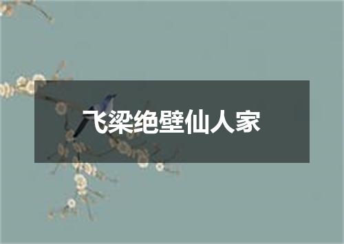 飞梁绝壁仙人家