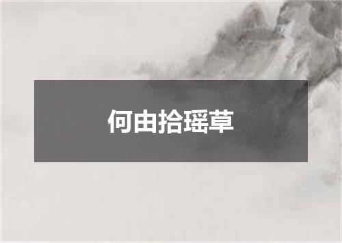 何由拾瑶草