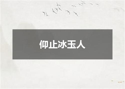 仰止冰玉人