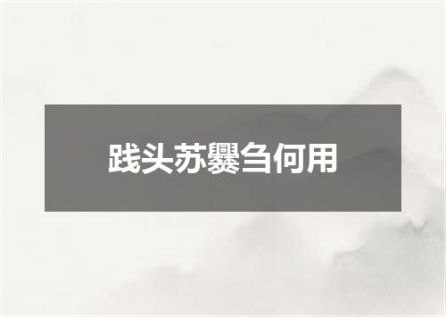 践头苏爨刍何用