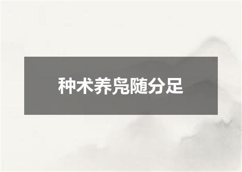 种术养凫随分足