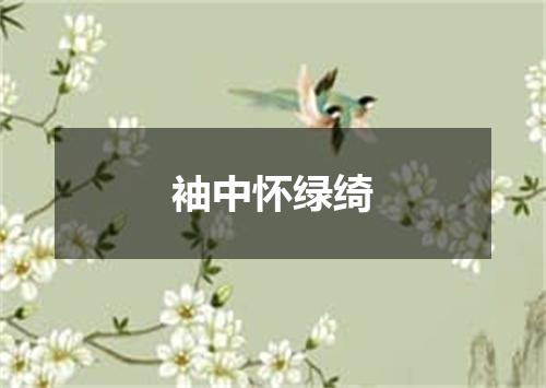 袖中怀绿绮