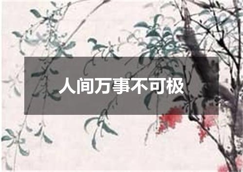 人间万事不可极
