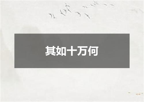 其如十万何